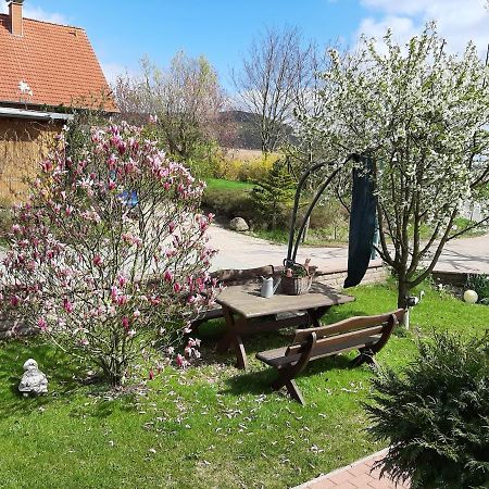 Familienfreundliche Ferienwohnung Auf Dem Lande Monteur Wohnung Hessisch Oldendorf Extérieur photo